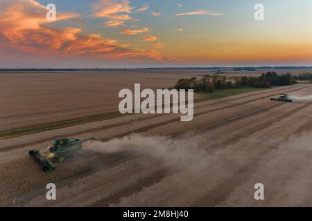 63801-18414 Vista aerea delle mietitrebbie che raccolgono soia al tramonto Marion Co.. IL Foto Stock