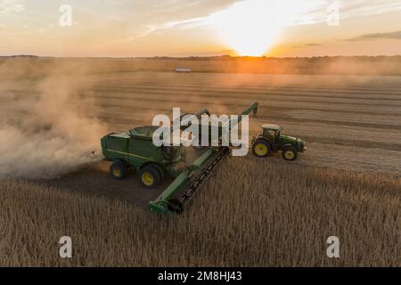 63801-18605 Vista aerea della mietitrebbia che raccoglie soia e scarica nel carro della coclea al tramonto Marion Co.. IL Foto Stock