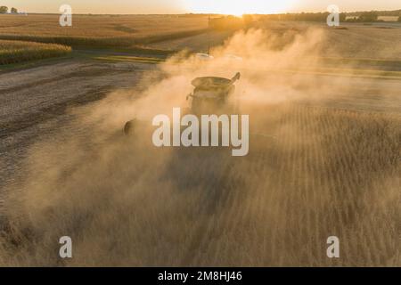 63801-18112 Vista aerea della mietitrebbia che raccoglie il campo di soia al tramonto Marion Co.. IL Foto Stock