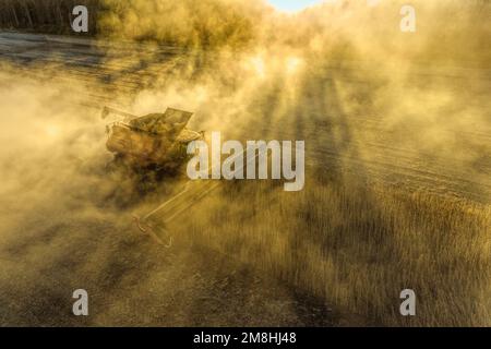 63801-18905 Vista aerea della mietitrebbia che raccoglie soia al tramonto Marion Co.. IL Foto Stock