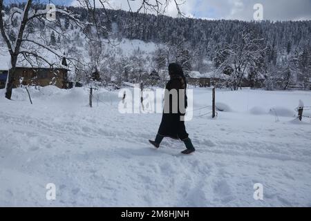 Srinagar, Kashmir, India. 14th Jan, 2023. Kashmiri Villagers camminano sulla zona coperta di neve dopo le forti nevicate nella zona di Baramulla del Kashmir. Le autorità di Jammu e Kashmir hanno lanciato un avvertimento a valanga per 10 distretti che hanno assistito a nevicate da moderate a pesanti nelle ultime 48 ore. (Credit Image: © Sajad Hameed/Pacific Press via ZUMA Press Wire) SOLO PER USO EDITORIALE! Non per USO commerciale! Credit: ZUMA Press, Inc./Alamy Live News Foto Stock