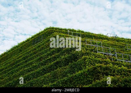 "Aria condizionata naturale": Siepi in carpino su un edificio ecologico di Ingenhoven Architects a Kö-Bogen II a Düsseldorf/Germania. Foto Stock