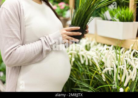 Le donne incinte scelgono il bonsai piccolo Foto Stock