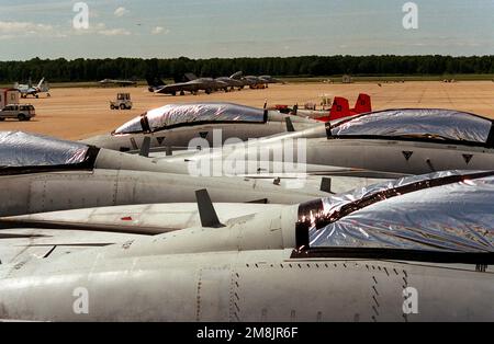 F-14A Tomcat Aircraft of Fighter Squadron 14 (VF-14) parcheggiato sul tarmac e sigillato fino a proteggerli durante una conservazione a breve termine di 30 giorni a causa della mancanza di fondi operativi per tenerli volare. Base: Naval Air Station, Oceana Stato: Virginia (VA) Paese: Stati Uniti d'America (USA) Foto Stock