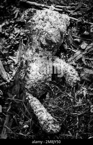 L'orso di Teddy del bambino si è lavato in su dopo un'inondazione del fiume. Sdraiato su una riva del fiume. Concetti - solitari, scartati, non amati, mancati, sporchi, lavato su. Foto in bianco e nero. Foto Stock