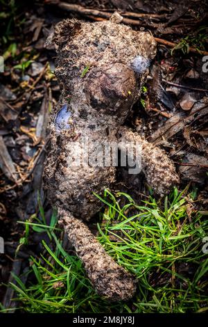 L'orso di Teddy del bambino si è lavato in su dopo un'inondazione del fiume. Sdraiato su una riva del fiume. Concetti - solitari, scartati, non amati, mancati, sporchi, lavato su. Foto Stock