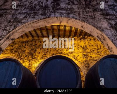 Botti di legno nella cantina di Puerto de Santa Maria. Foto Stock