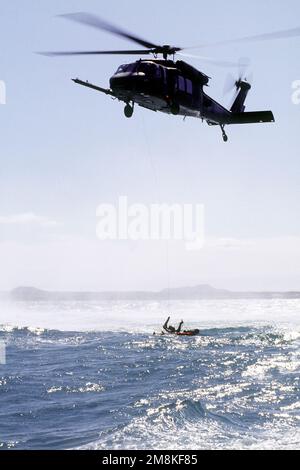 Un falco di nave HH-60G del 56th Rescue Squadron, Keflavik NAS, esegue un salvataggio di un aereo simulato abbattuto al largo delle coste dell'Islanda. Durante il salvataggio dell'aviatore, un parasavelaio salta dall'elicottero per aiutare il superstite nella barella in modo che possa essere issato dall'acqua. Il salvataggio simulato fa parte del VIKING SETTENTRIONALE del '95. Soggetto operativo/Serie: NORTHERN VIKING '95 base: Naval Air Station, Keflavik Paese: Islanda (ISL) Foto Stock