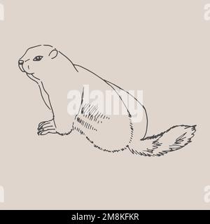 Groundhog disegno a mano illustrazione realistica schizzo hliday linea art. Vettore Illustrazione Vettoriale