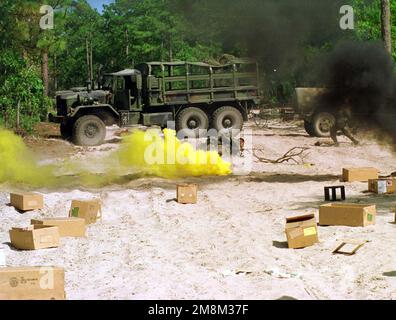 Un barattolo di fumo giallo è stato rilasciato per contrassegnare la posizione di un imboscamento simulato, come Marines da Truck Company arrivano su un convoglio. Questo scenario fa parte del trivello Mass Casualty che ha avuto luogo durante il Battaglione della sede centrale, 2nd Divisione Marina, esercizio sul campo. Durante questo esercizio di due settimane, Marines conduce manovre che includono esercitazioni di salvataggio in ostaggio e operazioni a supporto della Small Craft Company, che svolge la sua funzione Riverine. Soggetto operativo/Serie: PREYING MANTIS II base: Marine Corps base, Camp Lejeune Stato: North Carolina (NC) Paese: Stati Uniti d'America Foto Stock