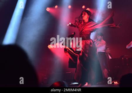 Leon, Messico. 13 gennaio 2023. Attrice e ballerina professionista Hana Koo come Mulan esecuzione di arti marziali a Disney Myst Be our Guest show premiere su Feria de Leon 2023. Credits: Juan Jose Valdez / JVMODEL Credit: JVMODEL/Alamy Live News Foto Stock