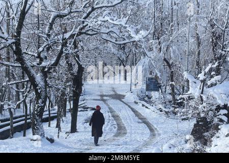 Srinagar, India. 14th Jan, 2023. (1/14/2023) gli abitanti di Kashmiri camminano su un'area coperta di neve dopo una forte nevicata nella zona di Baramulla del Kashmir. Le autorità di Jammu e Kashmir hanno lanciato un avvertimento a valanga per 10 distretti che hanno assistito a nevicate da moderate a pesanti nelle ultime 48 ore. (Foto di Sajad Hameed/Pacific Press/Sipa USA) Credit: Sipa USA/Alamy Live News Foto Stock