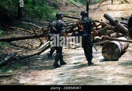 I soldati ungheresi sgomberano una strada bloccata da rami di alberi e tronchi, durante la fase di applicazione pratica della formazione per operazioni di convoglio, parte della Situational Training Exercise1 (STX-1), a Camp Lejeune, NC, durante l'operazione COOPERATIVA OSPREY 96. Un soldato è armato di un fucile d'assalto AK-74 con calcio pieghevole e l'altro di una mitragliatrice bulgara PK Kalashnikov da 7,62 mm. I soldati ungheresi sgomberano una strada ostruita da rami di alberi e tronchi, durante la fase di applicazione pratica della formazione delle operazioni di convoglio, parte di Situational Training ExerciseÐ1 (STX-1), a Camp Lejeune, NC durante l'operazione COOP Foto Stock