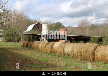 Balle di fieno con vecchio fienile e silos Foto Stock