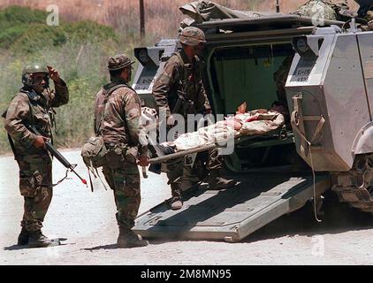 I medici del 126th Battaglione medico, Guardia Nazionale dell'Esercito degli Stati Uniti, trasportano una Marina ferita (simulata) da 3D battaglione, 5th Marines, 1st Divisione Marina, in un veicolo da combattimento Bradley M4 vicino alla struttura MOUT (operazioni militari su terreno urbanizzato) a Camp Pendleton, California, durante l'esercizio BLITZ '97. KERNEL BLITZ è un esercizio biennale di addestramento della flotta Commander-in-CHIEF Pacific (CINCPAC) (FLEETEX) incentrato sull'addestramento operativo/tattico di Commander, Third Fleet (C3F)/ i Marine Expeditionary Forces (MEF) e Commander, Amphibious Group 3 (CPG-3)/ 1st Marine Division (MARDIV). KER Foto Stock