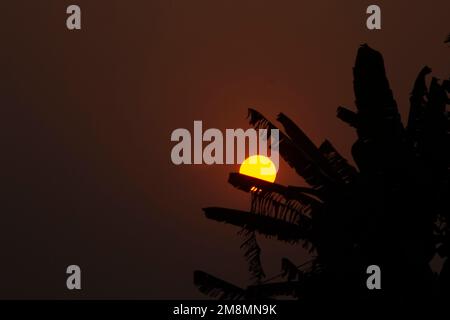 Tramonto sulla città di Yaounde, in un cielo arancione, con la silhouette scura di foglie di banana sul lato. Foto Stock