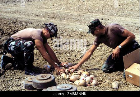 US Navy Explosive Ordnance Disposal Mobile Unit 2 (EODMU-2) Mate 2nd Albert Moore III (a sinistra) e MATE BRIAN Pearson, CAPOGUNNER's Mate, Place Leftover 4th di luglio fuochi d'artificio con miniere che devono essere distrutte. La stazione navale di Guantánamo Bay, Cuba, sta liberando i suoi campi minati di miniere obsolete in conformità con la direttiva del presidente William Jefferson Clinton. Base: Stazione Navale, Baia di Guantánamo Paese: Cuba (CUB) Foto Stock