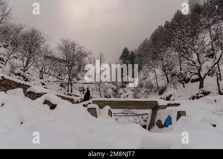 Srinagar, India. 15th Jan, 2023. Un uomo cammina lungo una collina coperta di neve dopo una forte nevicata nella periferia di Srinagar. A causa delle forti nevicate, ci sono state valanghe multiple in diversi luoghi del Kashmir. Il periodo di 40 giorni dal 21 dicembre al 31st gennaio, noto anche come Chilai Kalan, in Kashmir è considerato il più cruciale quando nevica la condizione peggiora ulteriormente. (Foto di Idrees Abbas/SOPA Images/Sipa USA) Credit: Sipa USA/Alamy Live News Foto Stock