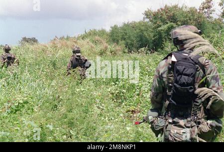 Soldati dell'esercito DEGLI STATI UNITI, 1st battaglione, 17th Divisione di Fanteria, pattugliamento sull'isola di Tinian, operazione TANDEM SPINTA '99. Soggetto operativo/Serie: TANDEM THRUST '99 base: Isola Tiniana Paese: Isole Marianne Settentrionali (MNP) Foto Stock