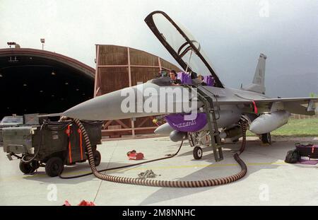 SRA Jean Perez e Robyn Ness, specialisti dell'avionica, monitorano un test di laser Destination Calibration attraverso l'Heads-Up Display di un combattente F-16 il 26 aprile 1999 alla base aerea di Aviano, Italia. Il F-16 è uno dei numerosi aerei (non mostrati) di Aviano che supportano l'operazione NATO Allied Force. Soggetto operativo/Serie: BASE DELLE FORZE ALLEATE: Aviano Air base Stato: Pordenone Paese: Italia (ITA) Foto Stock