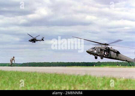 Un pilota del 157 Fighter Squadron, 169th Fighter Wing, South Carolina Air National Guard è 'scured' da un UH-60 Blackhawk, mentre un AH-64 Apache fornisce una copertura in background, durante una simulazione di missioni di ricerca e salvataggio di combattimento. Ha avuto una dimostrazione al SC ANG's Air Show il 2 maggio 2 1999 alla McEntire Air National Guard base, South Carolina. Base: McEntyre Ang Station Stato: South Carolina (SC) Paese: Stati Uniti d'America (USA) Foto Stock