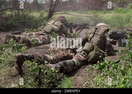 Lato destro, vista posteriore dei soldati dell'esercito degli Stati Uniti della Alpha Company, 1st della 9th Cavalleria, 1st Cavalleria divisione che si trova a terra, in posizione prona. Il soldato a sinistra spara un fucile M16 con un attacco da M203 granate. Il soldato di destra spara un downrange di armi automatiche (SAW) M249 Squad mentre conduce l'addestramento di procedure tattiche di fanteria 'Headhunters' (HITP) al corso d'assalto di Owl Creek di Fort Hood, Texas, il 19th maggio 1999. Base: Fort Hood Stato: Texas (TX) Nazione: Stati Uniti d'America (USA) Foto Stock