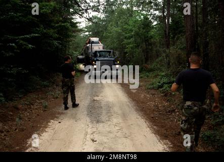 Un rimorchio da trasporto 'lowboy' con i resti di un elicottero a onde basse MH-53J sul suo ponte si aggira lungo un incendio del servizio forestale degli Stati Uniti diretto a una strada di superficie dura. L'elicottero si è schiantato vicino al campo militare Camp Mackall Army Air Field, North Carolina la notte del 2 giugno 1999. Il comando delle operazioni speciali dell'aeronautica ha richiesto che l'aeromobile sia recuperato e restituito al campo di Hurlburt, Florida. Stato: North Carolina (NC) Paese: Stati Uniti d'America (USA) Foto Stock