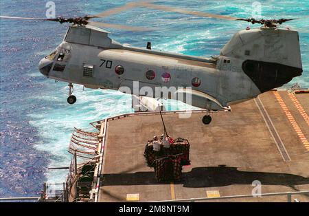 Due Marines di Combat Cargo, stazionati a bordo della nave da assalto anfibio USS PELELIU (LHA 5), tengono un gancio di carico per essere collegati a un elicottero di cavaliere di mare CH 46D da Helicopter Combat Support Squadron 11 (HC 11). Stato: Hawaii (HI) Paese: Stati Uniti d'America (USA) Foto Stock