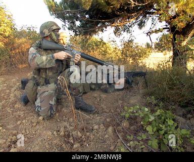 Utilizzando il fucile M16A2 e un'arma automatica M249 Squad (SAW), Marines da 3rd Platoon, Lima Company, Battaglione Landing Team 3/8, restituire il fuoco contro un aggressore durante L'APPROCCIO SETTENTRIONALE, un esercizio NATO.Marines dalla 26th Marine Expeditionary Unit (Special Operations Capable) (MEU (SOC)) sono qui in Turchia per partecipare all'esercizio della NATO con forze anfibie del Regno Unito e della nazione ospitante Turchia. Soggetto operativo/Serie: NORTHERN APPROACH base: Saros Bay Paese: Turchia (TUR) Foto Stock