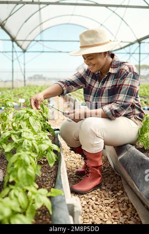 Lavoratrice agricola afro-americana felice che lavora in una serra agricola. Donna nera sorridente che usa un'app sul tablet digitale mentre si tiene traccia Foto Stock