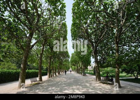 Parigi, Francia - Maggio, 2022: Jardin des plantes Museo Nazionale di Storia Naturale Giardino verde file di alberi Foto Stock