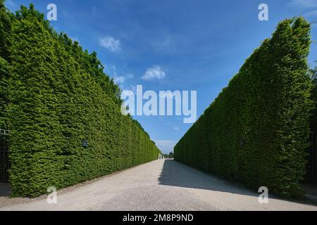 Parigi, Francia - Maggio, 2022: Giardini della famosa Reggia di Versailles. tutto il sito ha fontane uniche, stagni, lago e paesaggi costruiti nel 17th c. Foto Stock