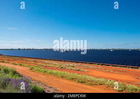 La grande fattoria di pannelli solari Nyngan nel nord-ovest del New South Wales, Australia, copre 288Ha di terra e produce 233.000 megawatt di ore di energia all'anno Foto Stock