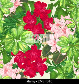 Profumo senza cuciture con fiori tropicali floreali, con bella rosa chiaro e rosso rododendro, Schefflera, philodendron e ficus Illustrazione Vettoriale