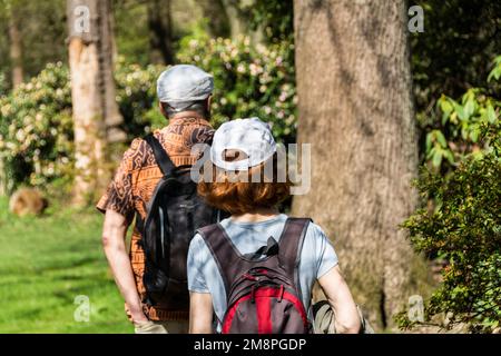 Vista posteriore di due escursionisti di mezza età e backpackers in sole luminoso passeggiate in campagna Foto Stock