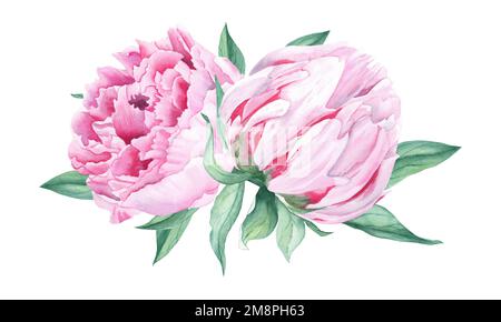 Acquerello peonie bouquet isolato su sfondo bianco. Fiori rosa dipinti a mano e foglie verdi. Può essere utilizzato per biglietti d'auguri, matrimoni Foto Stock