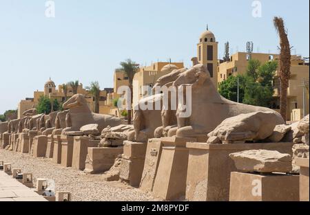 Grandi statue di sfingi con testa di montone nell'antico tempio egiziano di Karnak lungo il viale Foto Stock