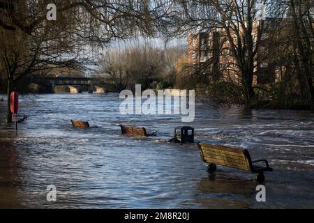 Il fiume Avon durante l'inverno alti livelli d'acqua, Stratford-upon-Avon, Warwickshire, Regno Unito Foto Stock