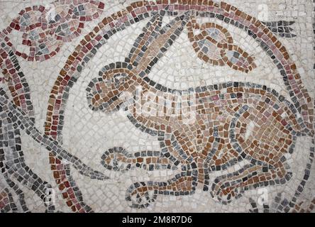 Ajloun Castello, Giordania - mosaico bizantino di una lepre Foto Stock