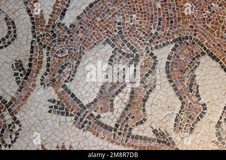 Ajloun Castello, Giordania - mosaico bizantino di un cane che mangia un serpente Foto Stock