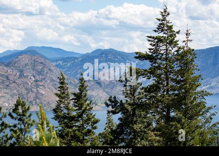 Splendido lago, foret e scenario montano in primavera, British columbia, Canada Foto Stock