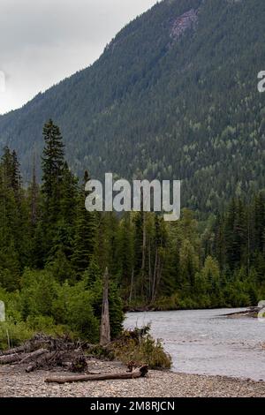 Splendido lago, foret e scenario montano in primavera, British columbia, Canada Foto Stock