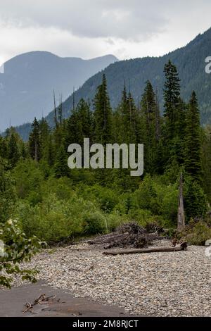 Splendido lago, foret e scenario montano in primavera, British columbia, Canada Foto Stock