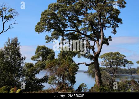 Vista da Sarah Island Macquarie Harbour Penal Colony, Tasmania, Australia Foto Stock