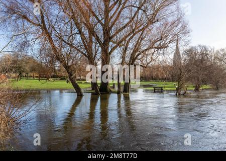 Fiume gonfio Avon a Salisbury, Wiltshire, Inghilterra, Regno Unito dopo forti precipitazioni. Gennaio 2023 Foto Stock