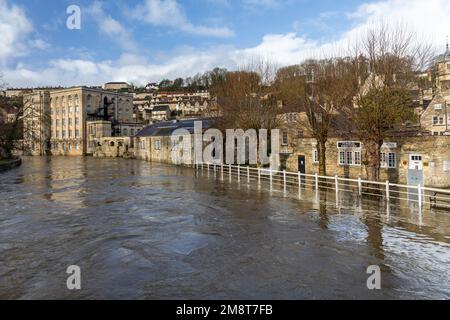 Il fiume gonfio Avon a Bradford su Avon Wiltshire. Forti precipitazioni hanno fatto scoppiare le rive del fiume Avon. Gennaio 2023. Wiltshire, Inghilterra, Regno Unito Foto Stock