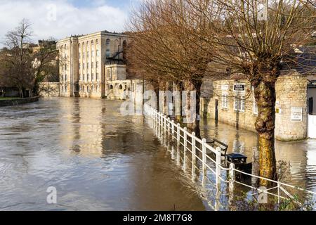 Il fiume gonfio Avon a Bradford su Avon Wiltshire. Forti precipitazioni hanno fatto scoppiare le rive del fiume Avon. Gennaio 2023. Wiltshire, Inghilterra, Regno Unito Foto Stock