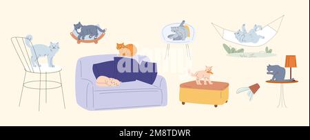 Gatti soffici, varie pose gatto. Diversi gattini dormono sul divano, riposandosi su un'amaca e su una sedia. Pulizia degli animali domestici, seduta sul tavolo o sul letto degli animali, vettore Illustrazione Vettoriale
