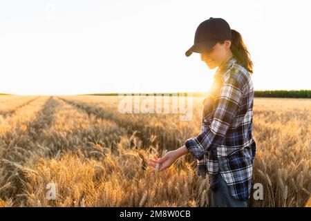 Donna contadina tocca le orecchie di grano su un campo agricolo Foto Stock