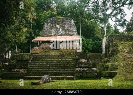 Piramide Maya sulla piazza dei sette templi a Tikal Foto Stock